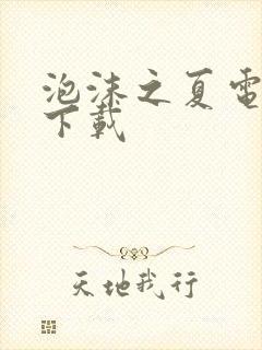 泡沫之夏电视剧下载