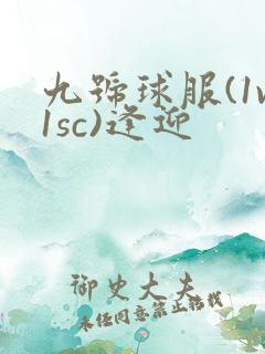 九号球服(1v1sc)逢迎
