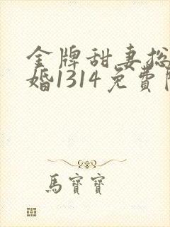 金牌甜妻总裁宠婚1314免费阅读