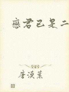 恋君已是二十年