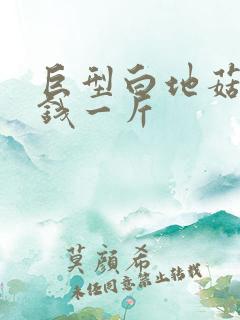 巨型白地菇多少钱一斤