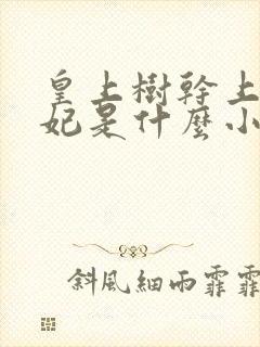 皇上树干上太子妃是什么小说