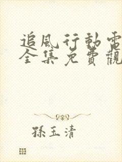 追风行动电视剧全集免费观看