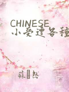 CHINESE小受遭各种打桩