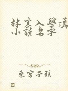 林寒入学填未婚小说名字