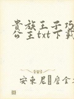 贵族王子巧遇穷公主txt下载