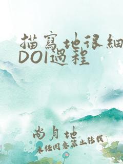 描写地很细致的DOI过程