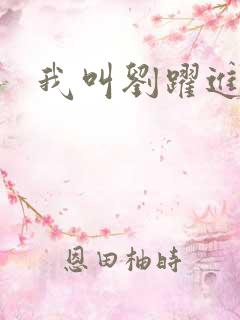 我叫刘跃进下载