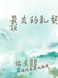 最爽的乱系列小说