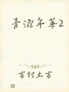 青涩年华2