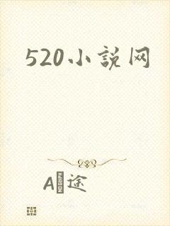 520小说网