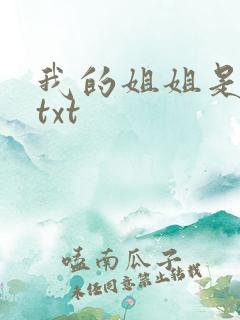 我的姐姐是美女txt