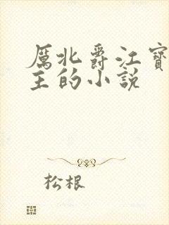 厉北爵江宝宝男主的小说