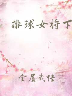 排球女将下载