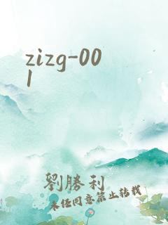 zizg-001