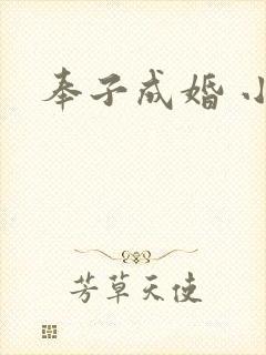 奉子成婚 小说