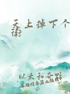 天上掉下个影卫卫