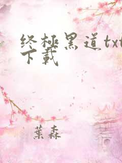 终极黑道txt下载