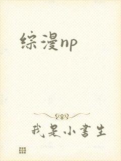 综漫np