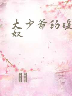 大少爷的暖床小奴