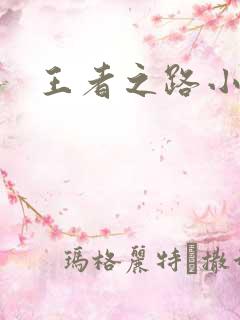 王者之路小说