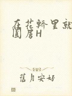 在花轿里就开始圆房H