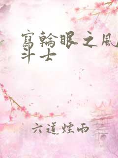 写轮眼之风流圣斗士
