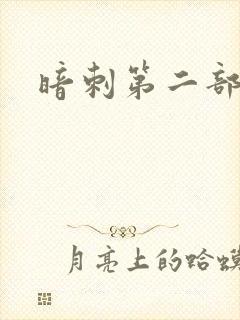 暗刺第二部