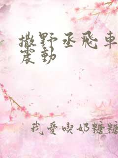 撒野丞飞车道具震动