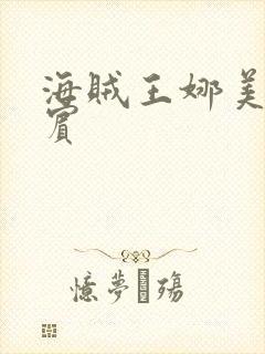 海贼王娜美h罗宾