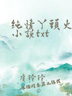 纯情丫头火辣辣小说txt