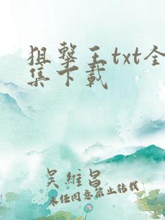 狙击王txt全集下载