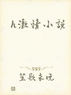 h激情小说