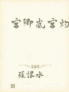 宫卿岚宫灼小说