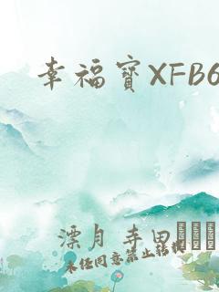 幸福宝XFB6