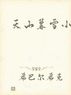 天山暮雪小说