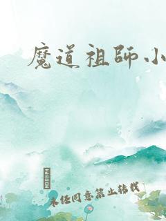 魔道祖师小说