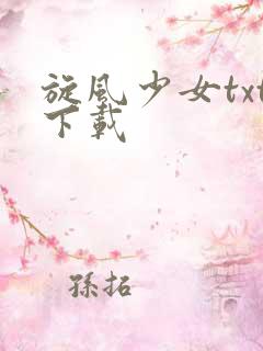 旋风少女txt下载