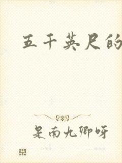 五千英尺的爱