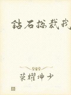 钻石总裁我已婚