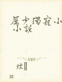 厉少独宠小娇妻 小说