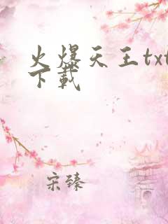 火爆天王txt下载