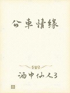 公车情缘