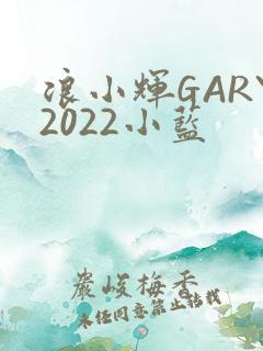 浪小辉GARY2022小蓝