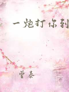 一炮打你到天亮