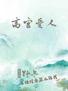 高官爱人