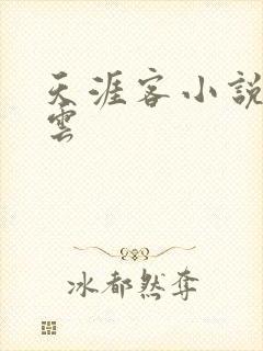 天涯客小说百度云