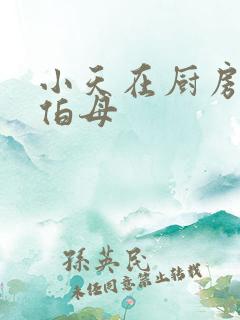 小天在厨房插杨伯母