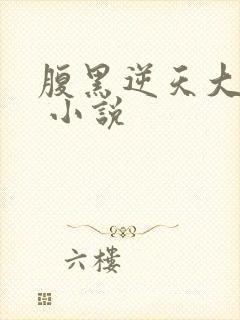 腹黑逆天大小姐 小说