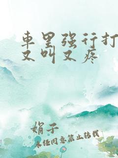 车里强行打扑克又叫又疼